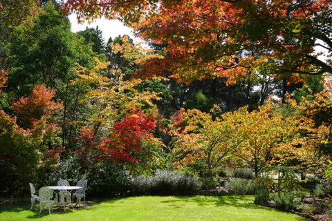 Wimbeldon - Accommodation NT 3