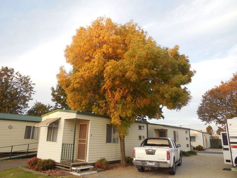 Wodonga Caravan & Cabin Park - Accommodation NT 0