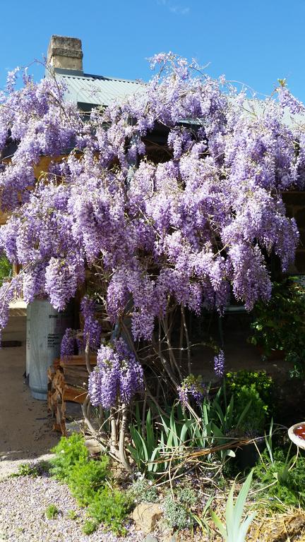 Woodvale At Cooma - NT Tourism 3