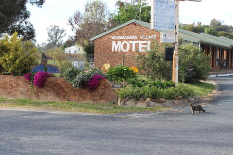 Woomargama Motel - NT Tourism 3