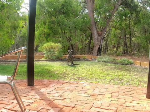Yallingup Pet Friendly Bush Retreat - Accommodation NT 3
