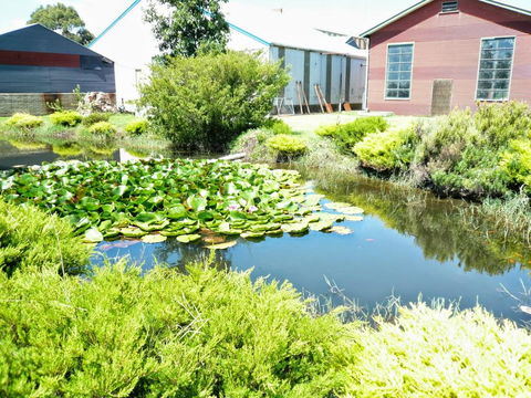 Yarragon Dairy Family Room - NT Tourism 1