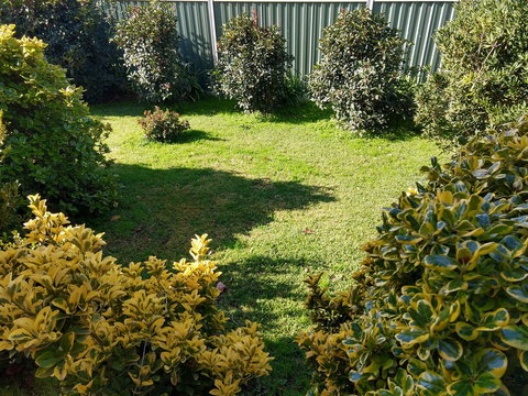 Young Goldrush Motel - Accommodation NT 3