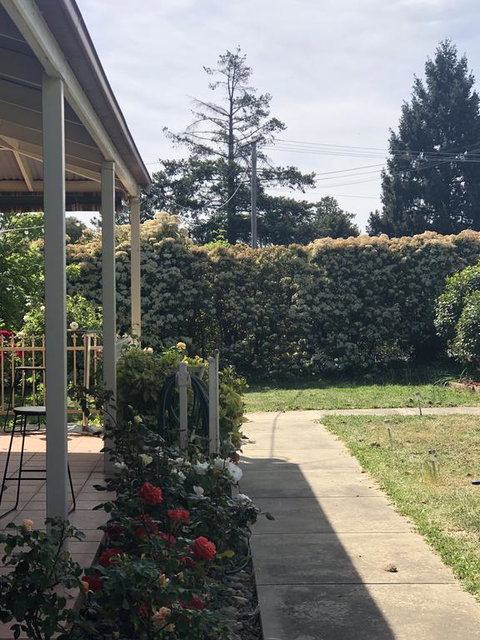 Zen Garde - Accommodation NT 0