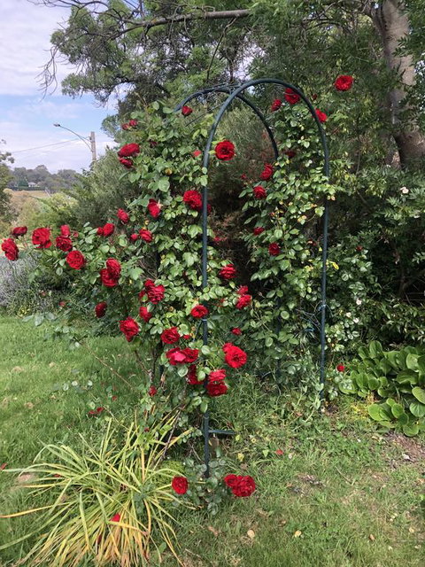 Zen Garde - Accommodation NT 2