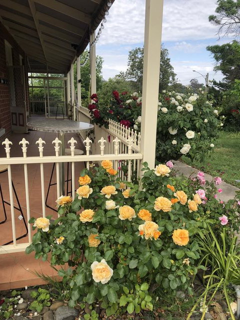 Zen Garde - Accommodation NT 1