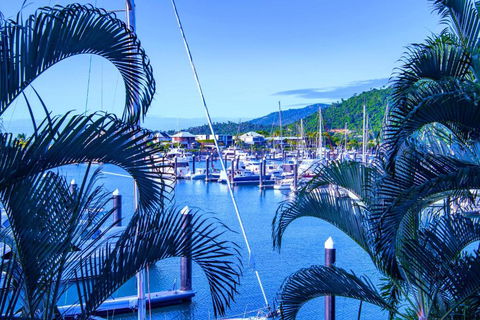 Absolute Luxury Marina Lifestyle At The Port Of Airlie Beach - Accommodation NT 4