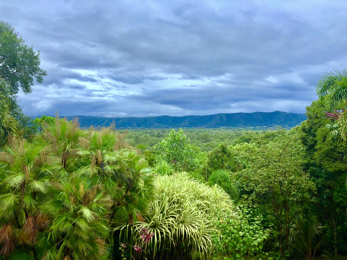 Forest Creek QLD NT Tourism