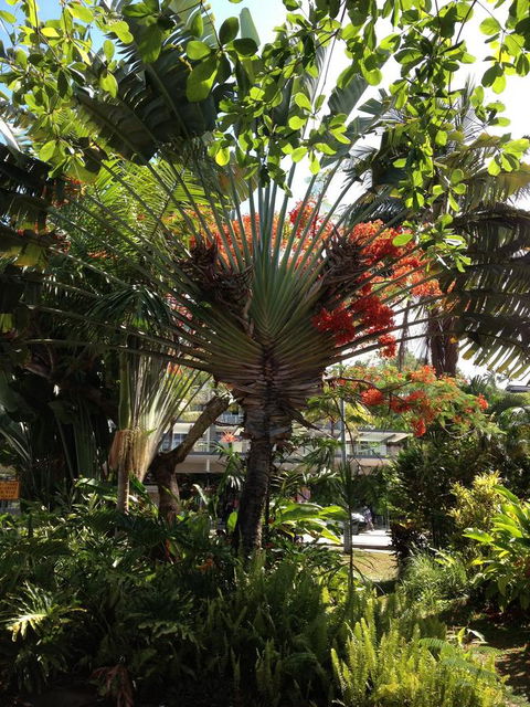 Port Douglas Apartments - Adults Only Oasis - Accommodation NT 39