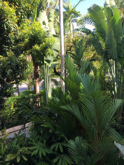 Port Douglas Apartments - Adults Only Oasis - Accommodation NT 1
