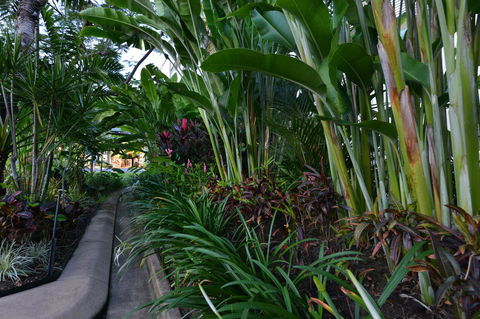Port Douglas Apartments - Adults Only Oasis - Accommodation NT 9
