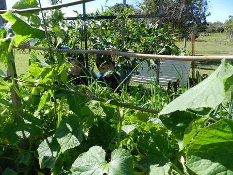 Hay Point Country BnB - Accommodation NT 17