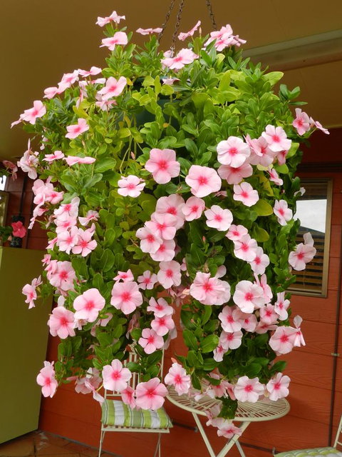 Hay Point Country BnB - Accommodation NT 19