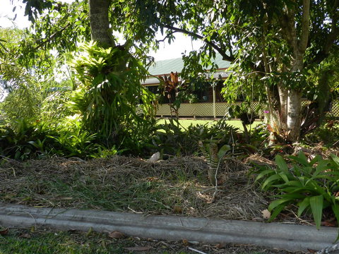 Hay Point Country BnB - Accommodation NT 23