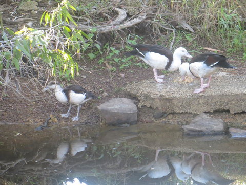 Hay Point Country BnB - Accommodation NT 22