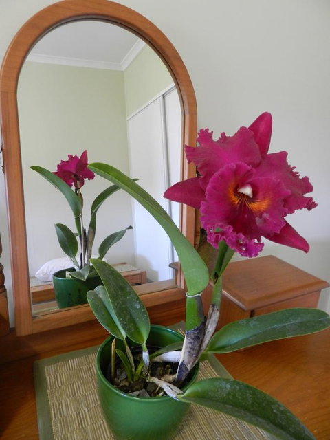 Hay Point Country BnB - Accommodation NT 10