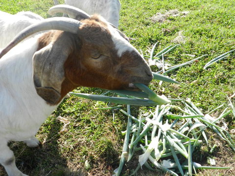 Hay Point Country BnB - Accommodation NT 15