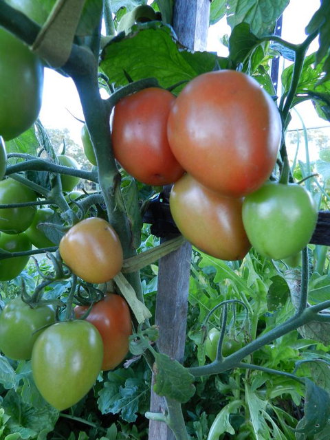 Hay Point Country BnB - Accommodation NT 18