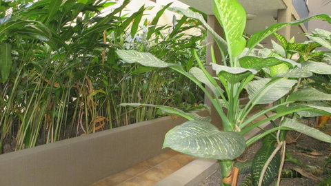 Edge Apartments Cairns - Accommodation NT 39