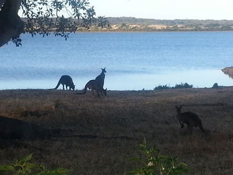 Ratcliff Cottage - NT Tourism 2