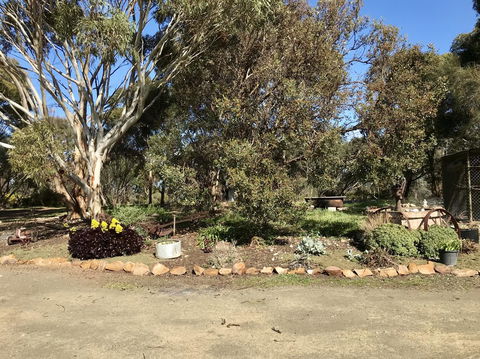 Beeâ€™s Place - 3 Bedroom Home On 10 Acres Of Land With Distant Ocean Views - Accommodation NT 15