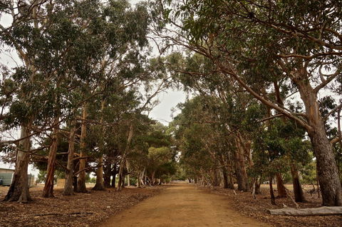 Hanson Bay Cabins - Accommodation NT 21