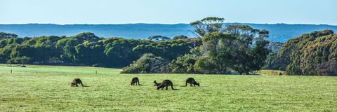 Hanson Bay Cabins - Accommodation NT 23