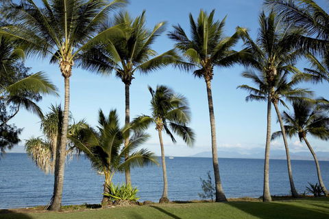 Pure Magnetic, 9 The Esplanade, Nelly Bay - Accommodation NT 4