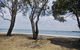 Bayviews At Bongaree - thumb 22