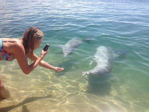 Sea Shanties - Accommodation NT 10