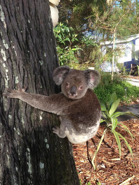 Sea Shanties - Accommodation NT 9