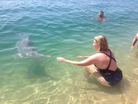 Sea Shanties - Accommodation NT 4