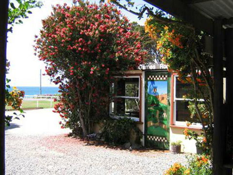 King Island Accommodation Cottages - Accommodation NT 11