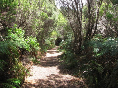 King Island Accommodation Cottages - Accommodation NT 12