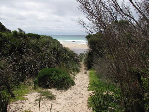 King Island Accommodation Cottages - Accommodation NT 41