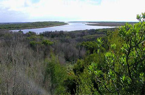King Island Accommodation Cottages - Accommodation NT 20