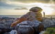 Sawyers Bay Shacks - thumb 8
