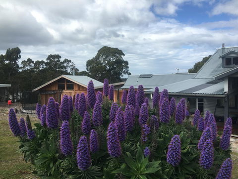 Bruny Island Lodge - NT Tourism 5