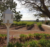 'In The Vines' Guest Cottage Barossa Valley - Accommodation NT