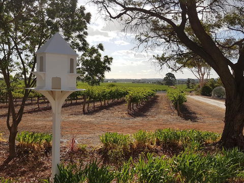 'In The Vines' Guest Cottage, Barossa Valley - NT Tourism 0