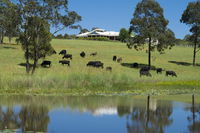 Book Nabiac Accommodation Vacations Accommodation NT Accommodation NT