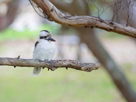 1 'Intrepid', 3 Intrepid Close - Amazing Views Of Shoal Bay, Only 100m From The Beach - NT Tourism 1