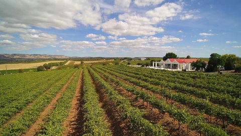 1837 Barossa Luxury Vineyard Cottages - Accommodation NT 0
