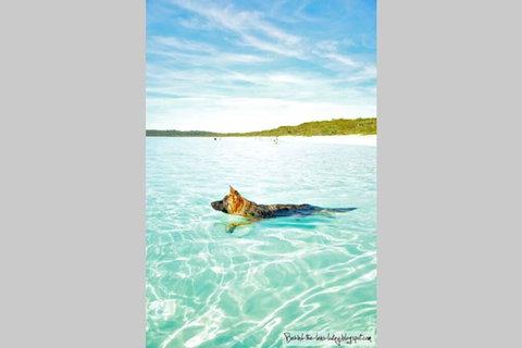 24 Hyam Road Hyams Beach - NT Tourism 1