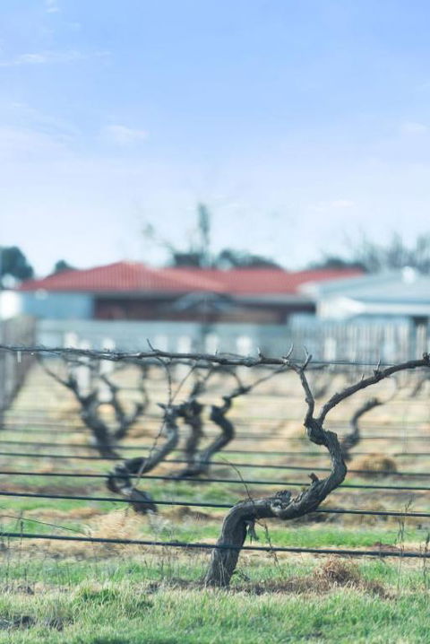 Crimson Ridge - Wines, Vines And Dine - NT Tourism 1