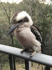 Book Tallebudgera Accommodation Vacations Accommodation NT Accommodation NT