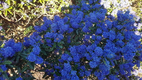 505 CONROD STRAIGHT MOUNT PANORAMA - Accommodation NT 2