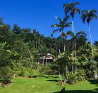 A Daintree Garden - Accommodation NT