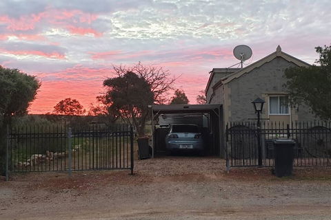 A Real Bush Retreat. Kangas, Emus & Starry Skies. - Accommodation NT 1