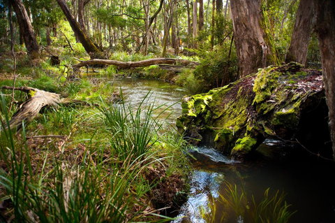 Ablac Studio - Accommodation NT 1